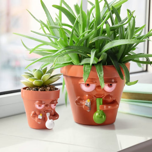 Baked Pot